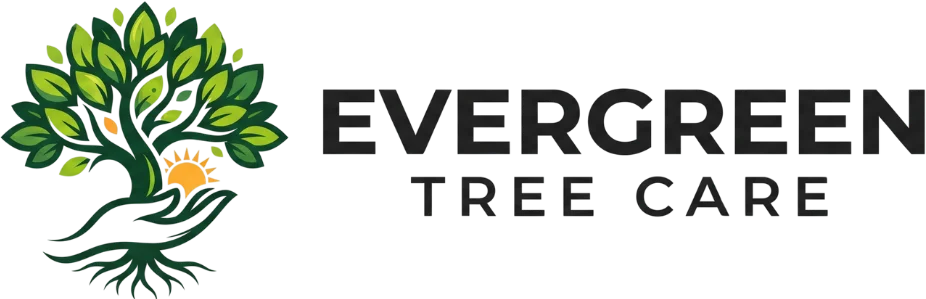 Evergreen Tree Care